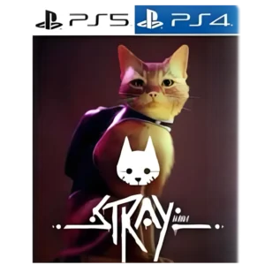 import placeholder for 1556